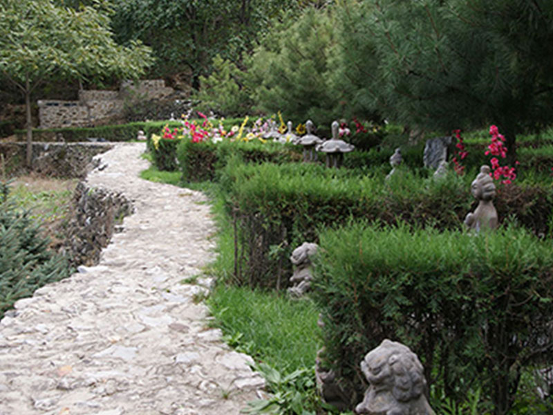 可以在年轻的时候买墓地吗？