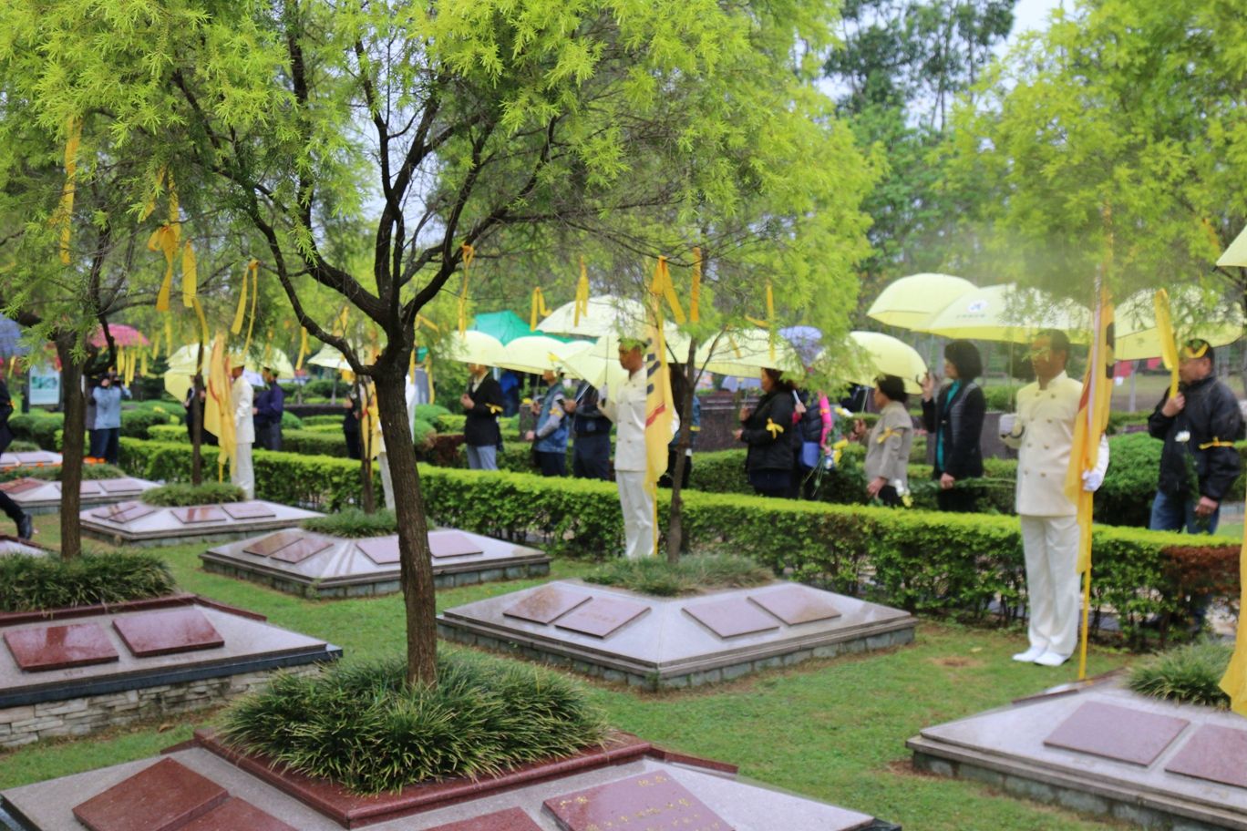 北京树葬和传统墓葬有什么区别？树葬的优势是什么？