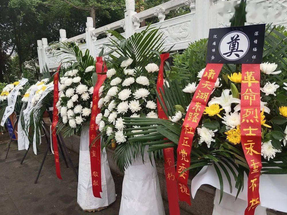 1675493063838421.jpeg 1675493063838421.jpeg