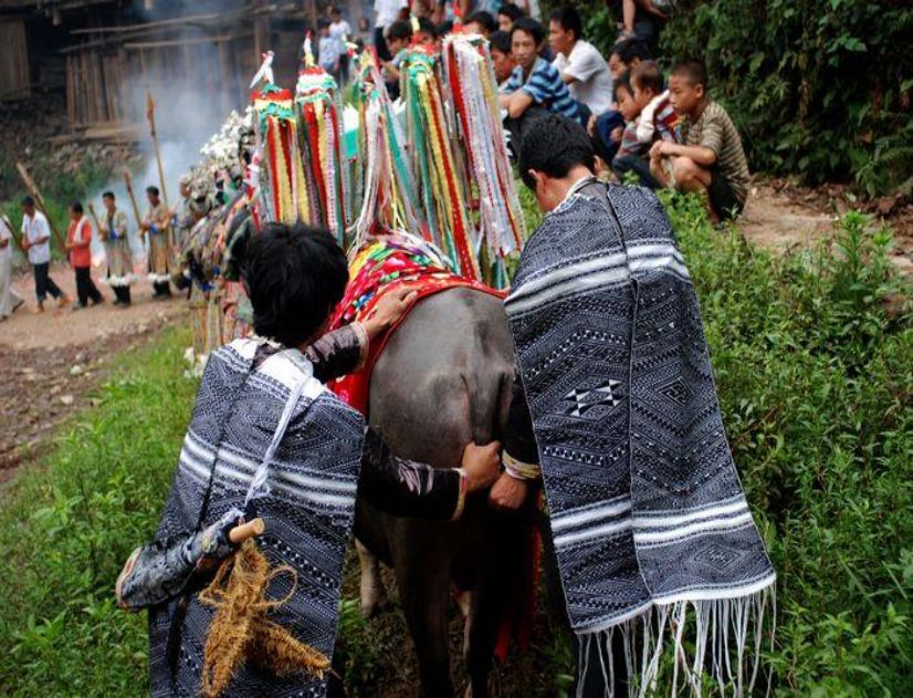 1693032040458613.jpg 下载.jpg