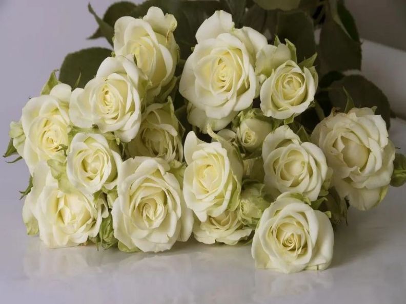 北京参加葬礼需要注意什么？北京参加葬礼有哪些讲究？