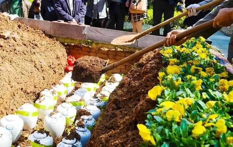 1743042709832844.png 花坛葬.png