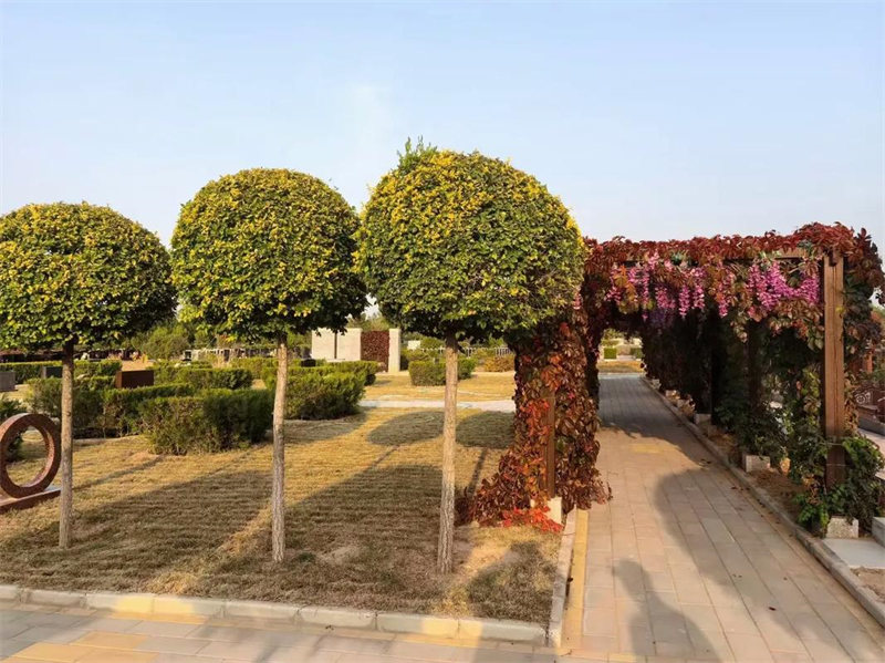 中华永久陵园环境